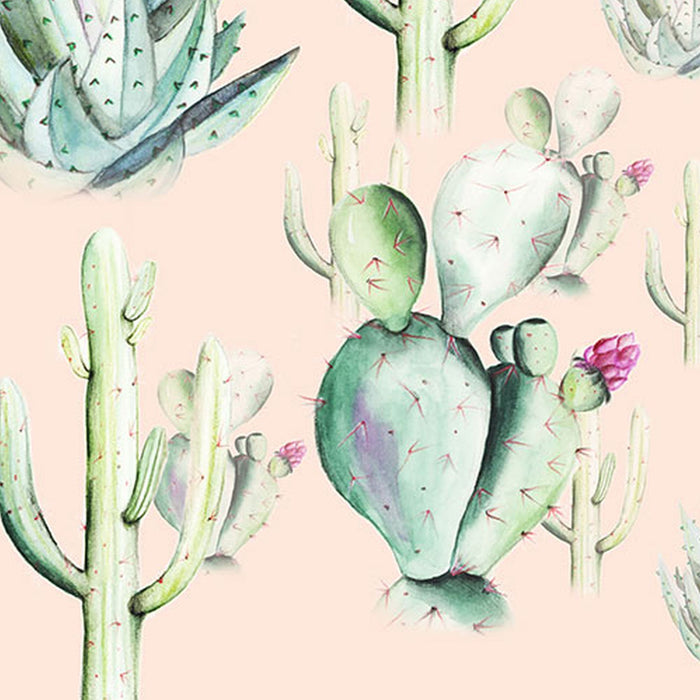 Komar | Vlies Fototapete | Cactus Rose | Größe 400 x 250 cm