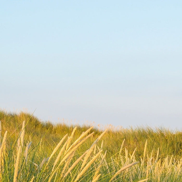 Papier Fototapete | Sandy Path | Größe 368 x 254 cm