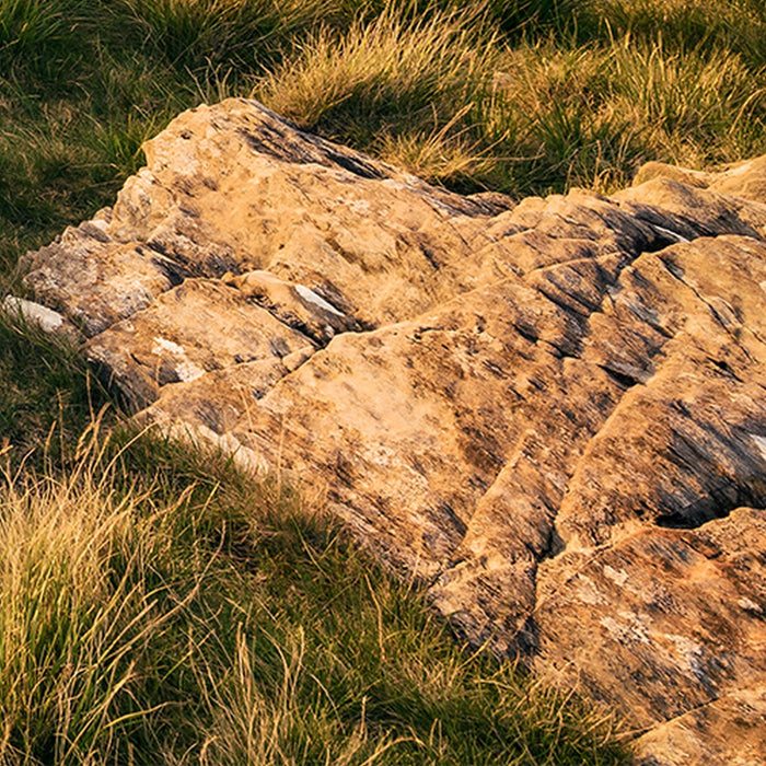 Vlies Fototapete | Abenteuerland | Größe 400 x 280 cm