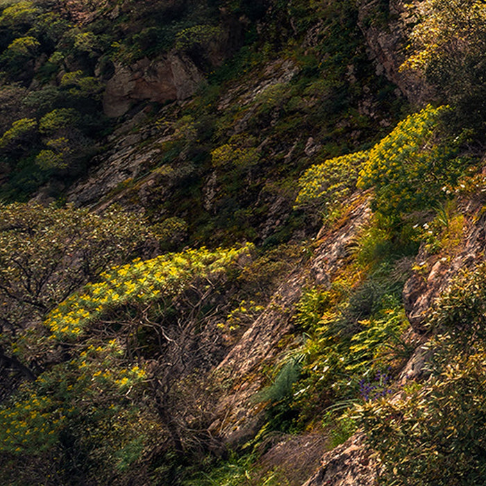 Vlies Fototapete | Rainbow Lands | Größe 450 x 280 cm