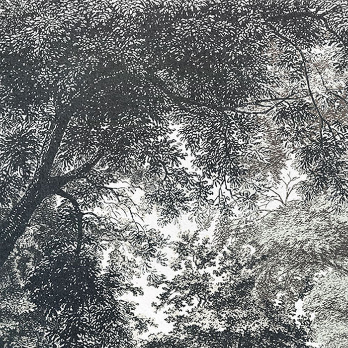 Komar | Vlies Fototapete | Fairytale Forest | Größe 400 x 280 cm