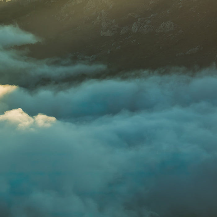 Vlies Fototapete | Pangea | Größe 450 x 280 cm