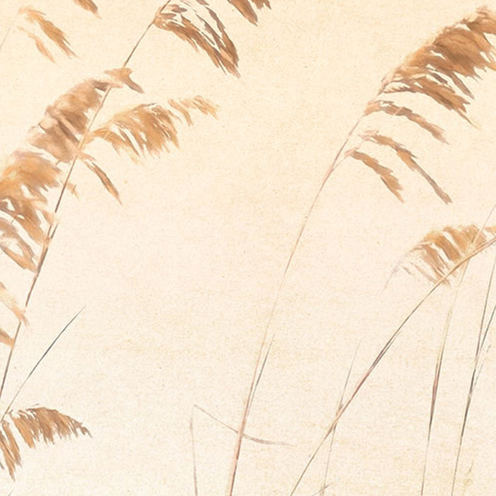 Vlies Fototapete | Dune Grass | Größe 400 x 250 cm