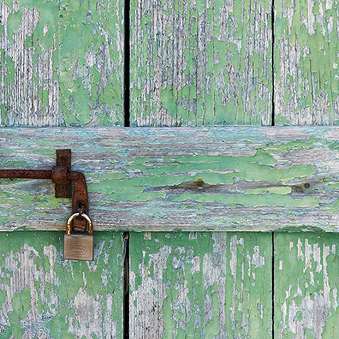 Vlies Fototapete | Gartentür | Größe 100 x 280 cm