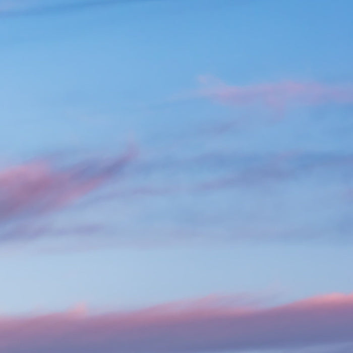 Vlies Fototapete | Purple Dinner | Größe 450 x 280 cm