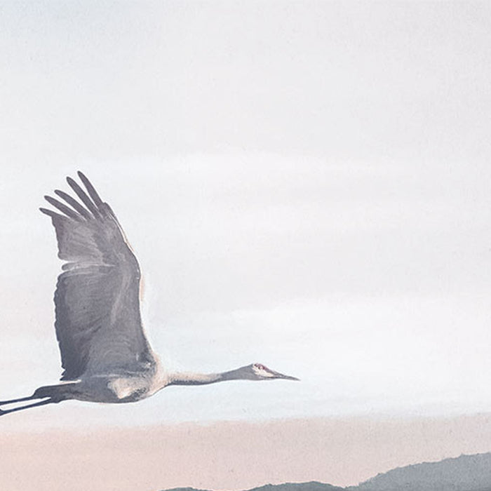 Komar | Vlies Fototapete | Mystic Cranes | Größe 400 x 280 cm
