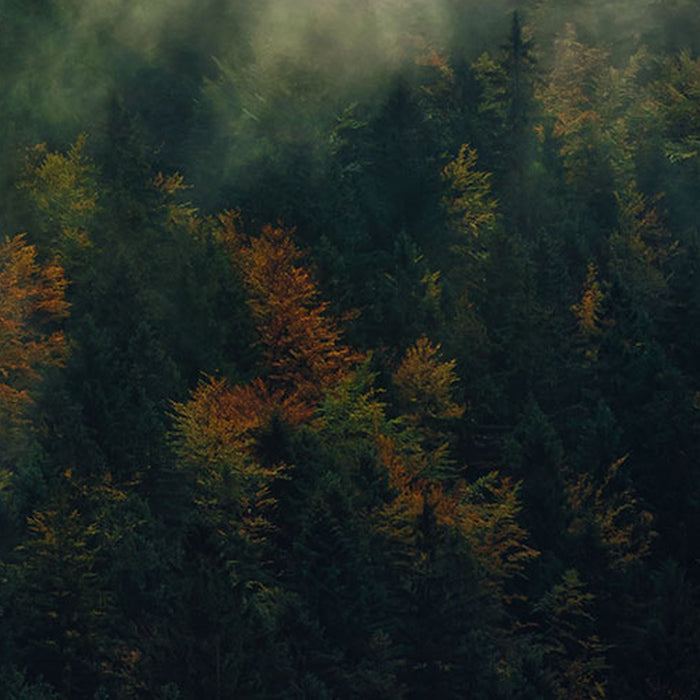 Vlies Fototapete | Tales of the Carpathians | Größe 300 x 200 cm