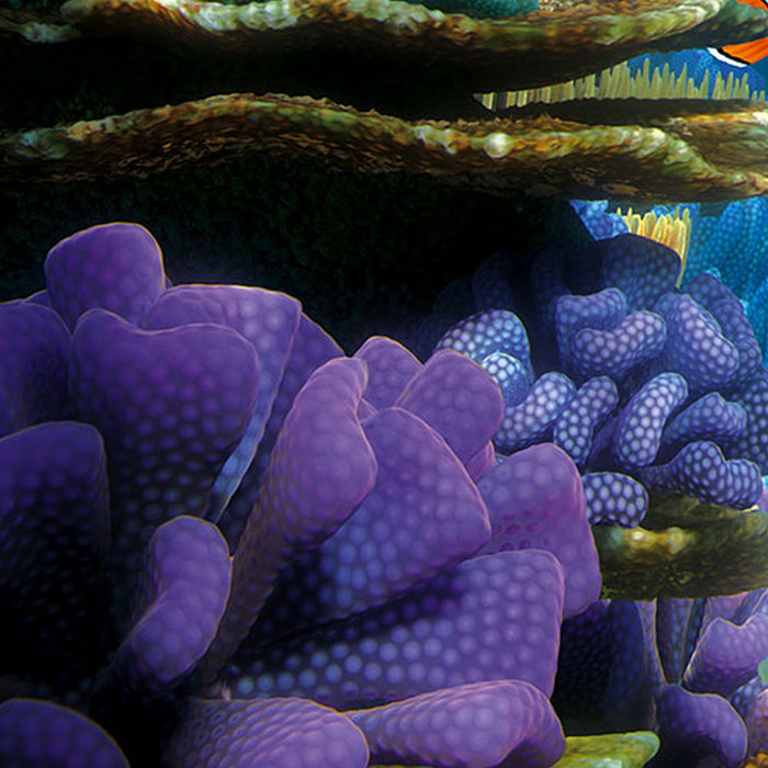 Vlies Fototapete | Finding Dory | Größe 400 x 260 cm