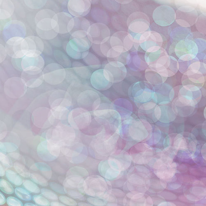 Vlies Fototapete | Delicate Rose | Größe 200 x 260 cm