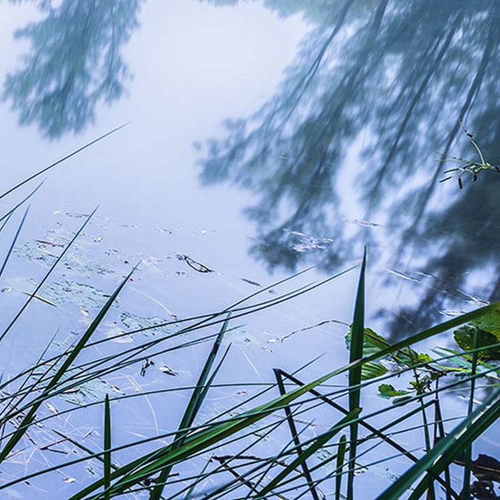 Vlies Fototapete | Morning View | Größe 200 x 100 cm