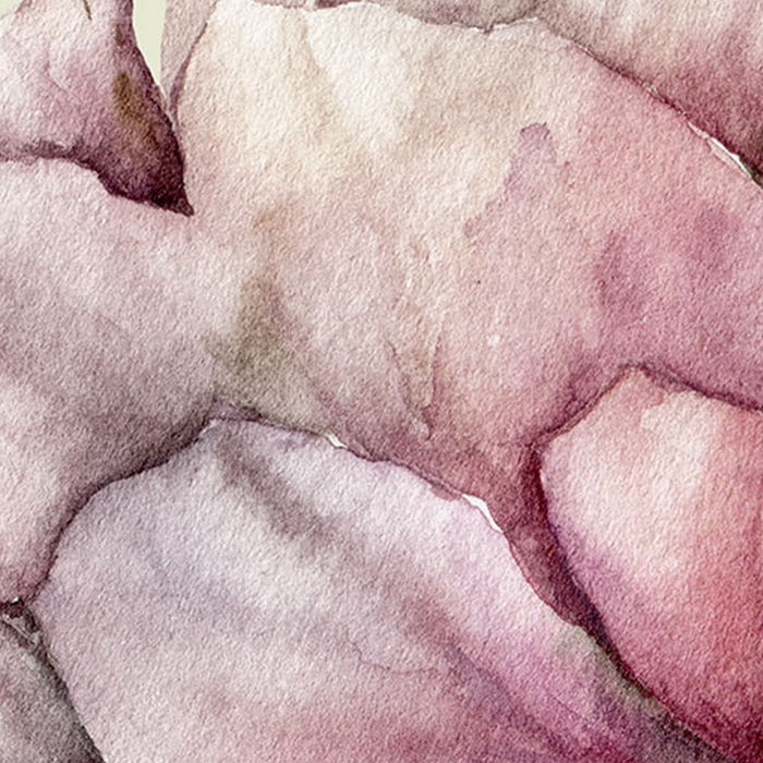 Vlies Fototapete | La Flor | Größe 300 x 280 cm