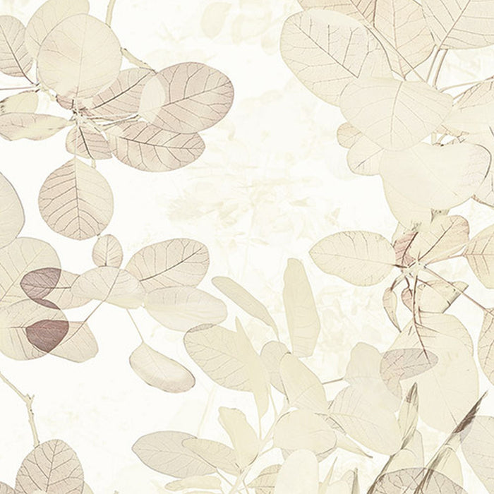 Vlies Fototapete | Sheer | Größe 400 x 250 cm