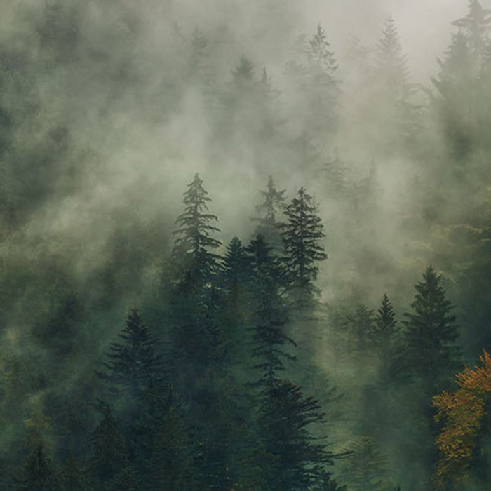 Vlies Fototapete | Tales of the Carpathians | Größe 300 x 200 cm