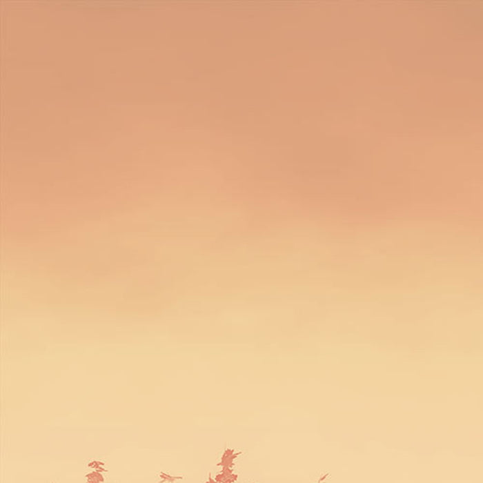 Vlies Fototapete | Heartwood  | Größe 400 x 250 cm