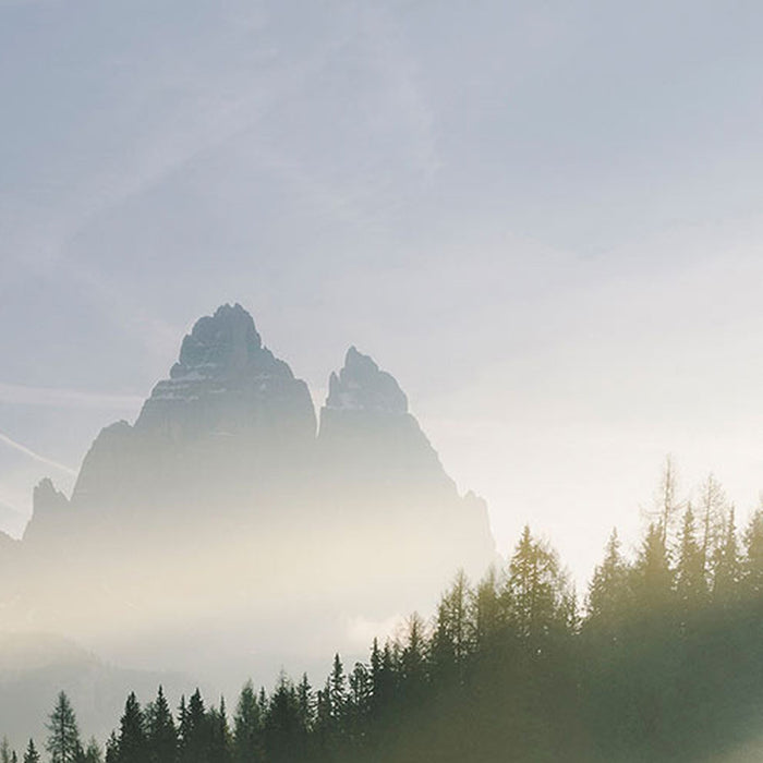 Vlies Fototapete | Morning Mist | Größe 100 x 280 cm