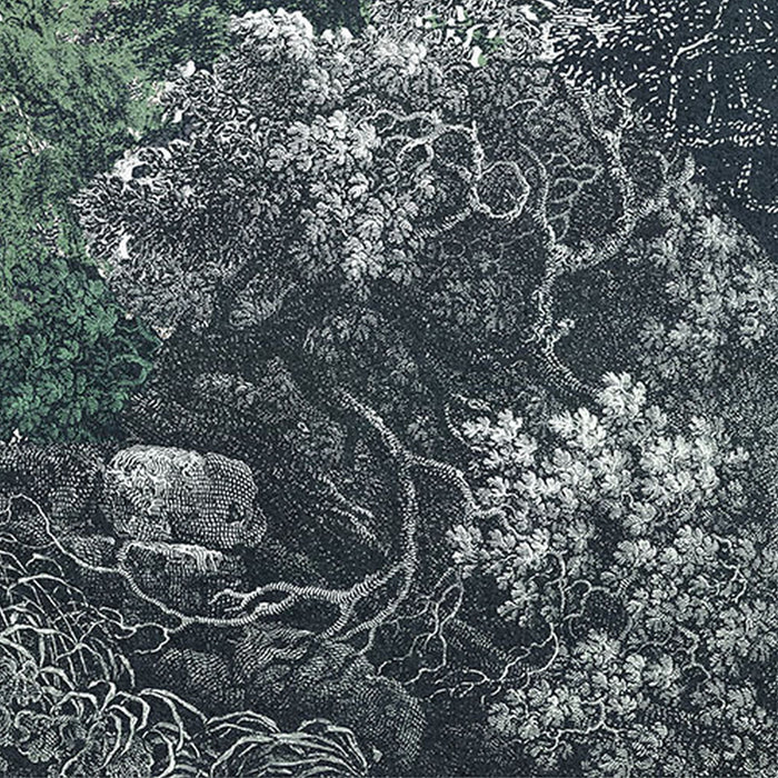 Komar | Vlies Fototapete | Fairytale Forest | Größe 400 x 280 cm