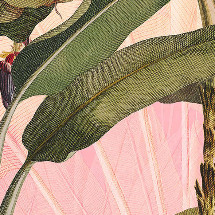 Komar | Selbstklebende Vlies Fototapete/Wandtattoo | Botany | Größe 125 x 125 cm