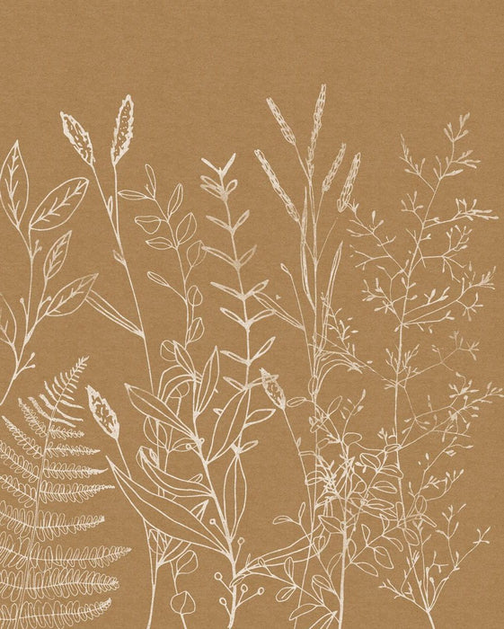 Komar | Vlies Fototapete | Herbs Garden | Größe 200 x 250 cm