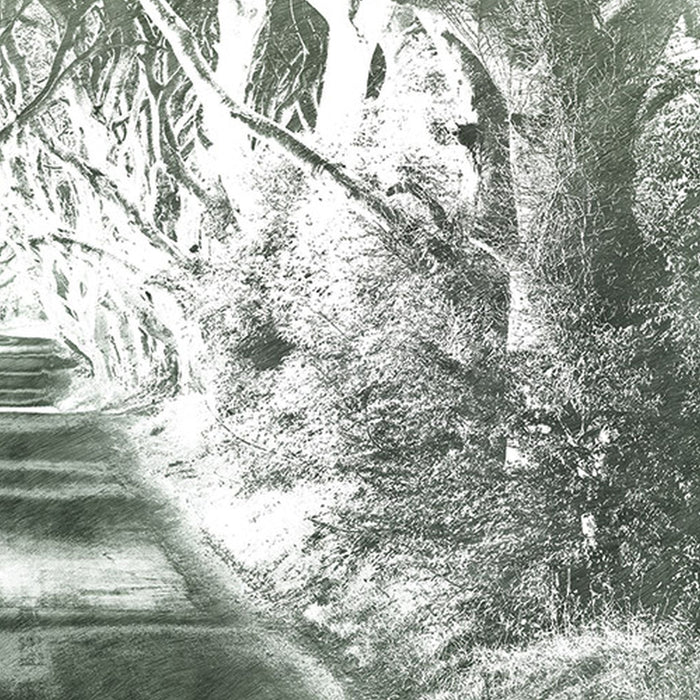 Vlies Fototapete | Alley Graphite | Größe 200 x 250 cm