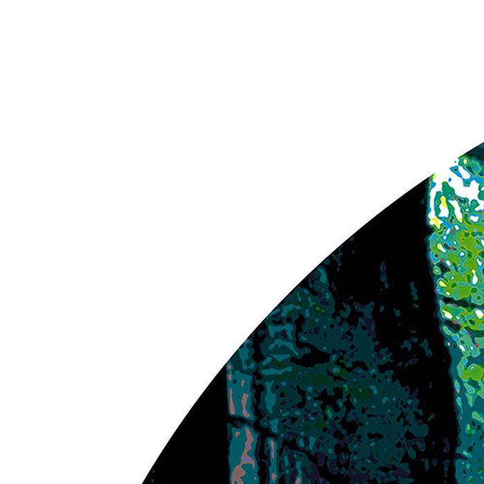 Komar | Selbstklebende Vlies Fototapete/Wandtattoo | Star Wars Protect the Forest | Größe 125 x 125 cm