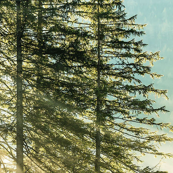 Vlies Fototapete | Indulgence of Beauty | Größe 200 x 250 cm