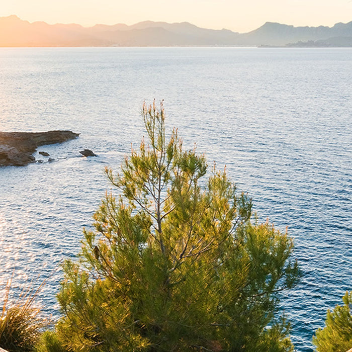 Vlies Fototapete | Licht des Südens | Größe 400 x 280 cm