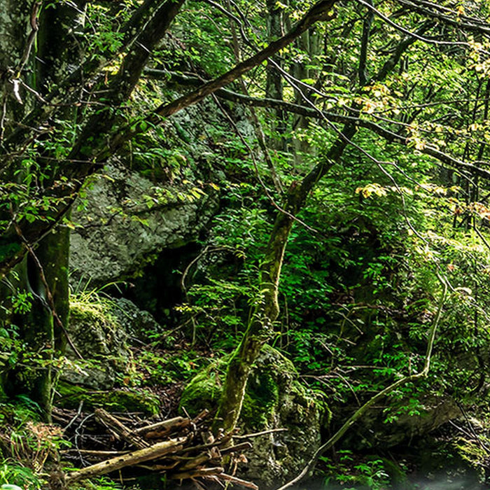 Vlies Fototapete | Tranquil Pool | Größe 400 x 250 cm