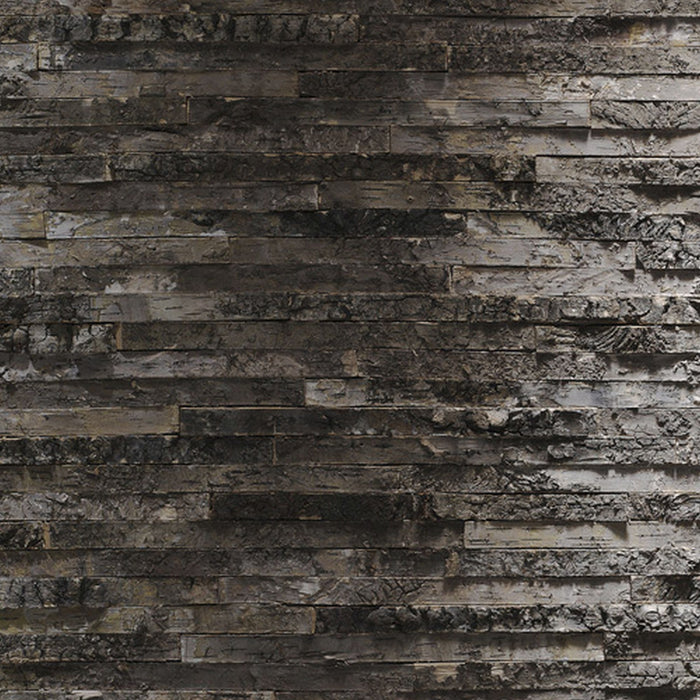 Papier Fototapete | Birkenrinde | Größe 368 x 254 cm