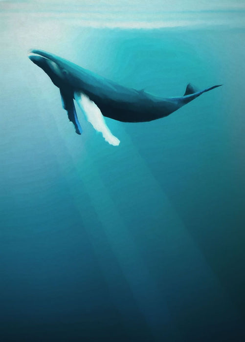 Komar | Vlies Fototapete | Artsy Humpback Whale | Größe 200 x 280 cm