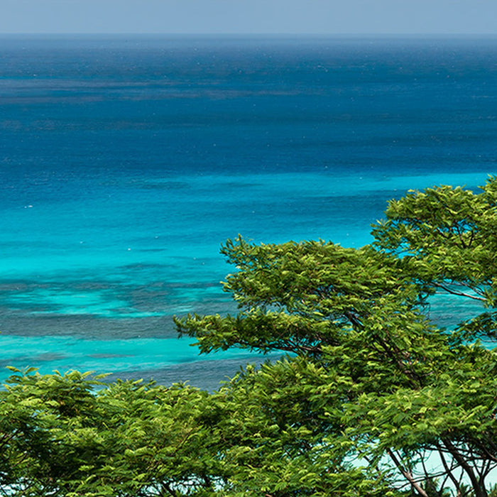 Komar | Vlies Fototapete | The Sea View | Größe 400 x 200 cm