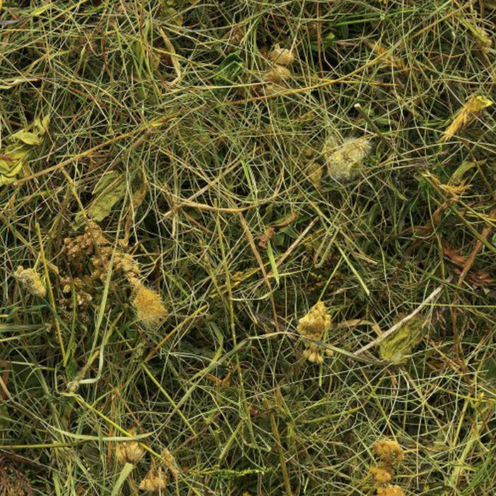 Komar | Vlies Fototapete | Bergheu | Größe 150 x 250 cm