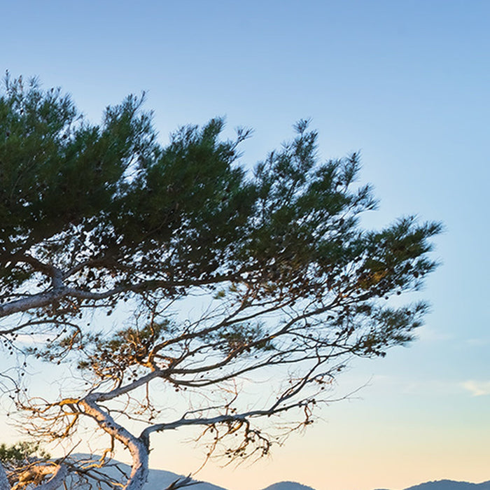 Vlies Fototapete | Licht des Südens | Größe 400 x 280 cm