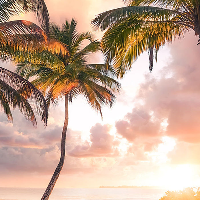 Vlies Fototapete | Vertical Paradise | Größe 200 x 280 cm