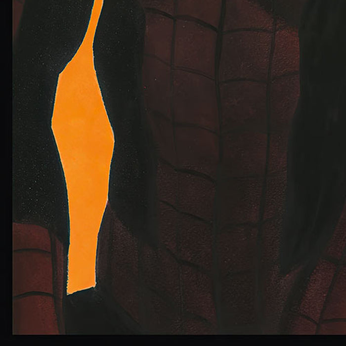 Vlies Fototapete | Spider Man Comic | Größe 100 x 250 cm