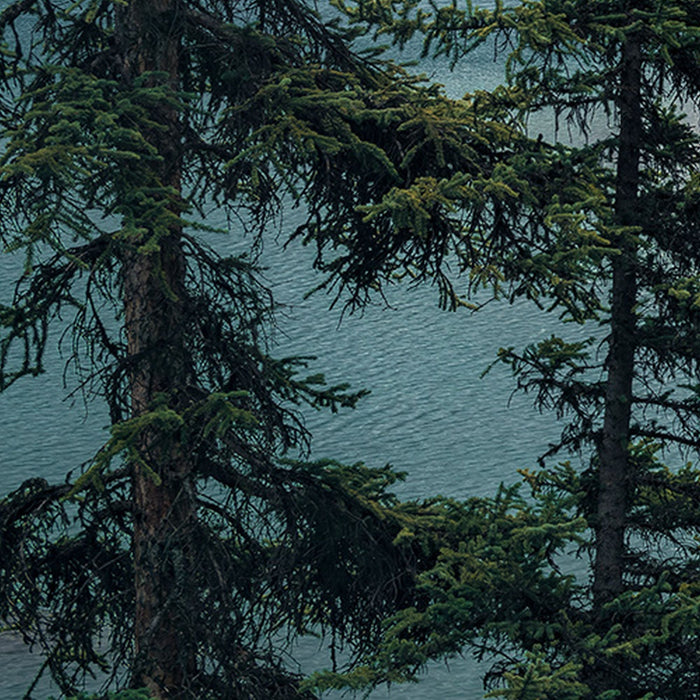 Vlies Fototapete | Spirit Island | Größe 450 x 280 cm