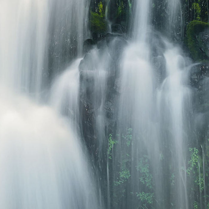 Vlies Fototapete | Ensemble of Veils | Größe 300 x 250 cm
