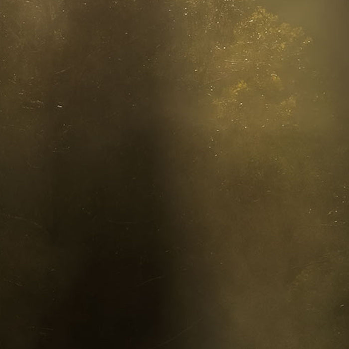 Vlies Fototapete | Misty Mountain | Größe 400 x 250 cm