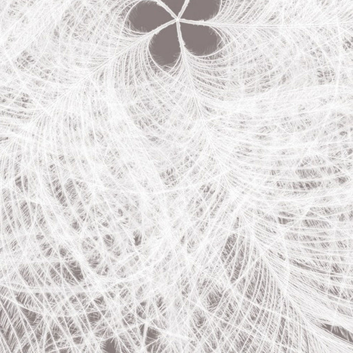 Komar | Vlies Fototapete | Federkern | Größe 100 x 250 cm