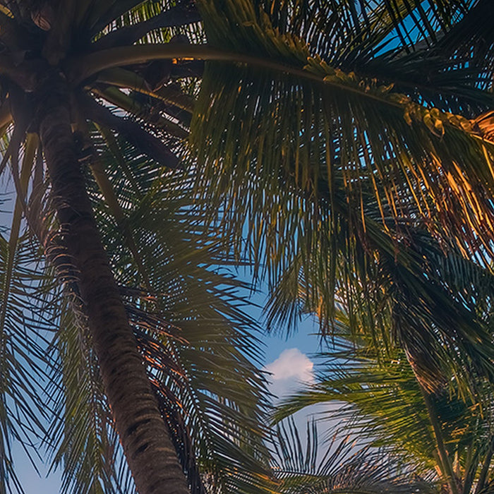 Komar | Vlies Fototapete | Vertical Paradise | Größe 200 x 280 cm