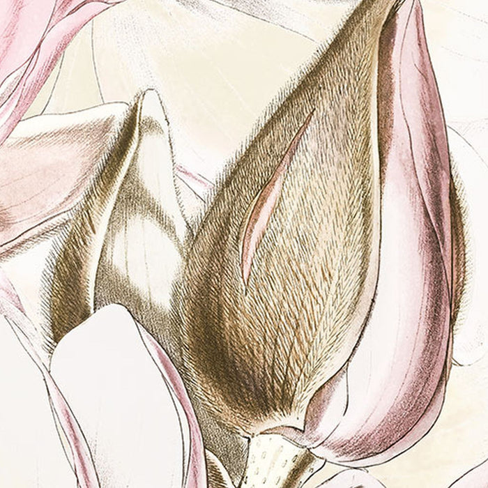 Vlies Fototapete | Petals | Größe 368 x 248 cm