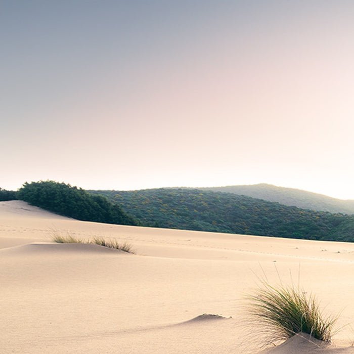 Komar | Vlies Fototapete | Vivid Dunes | Größe 450 x 280 cm