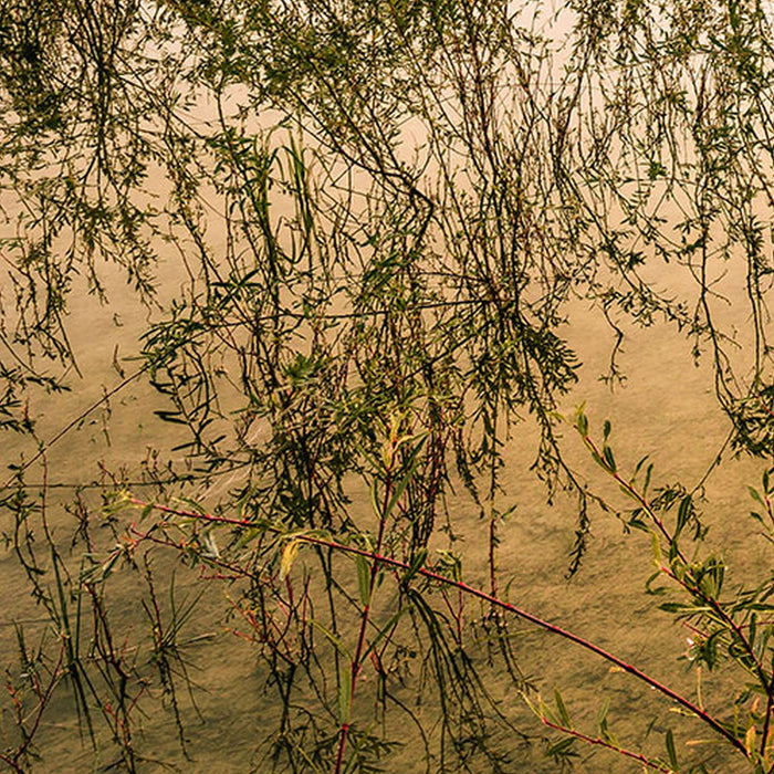 Vlies Fototapete | Morning View II | Größe 400 x 250 cm