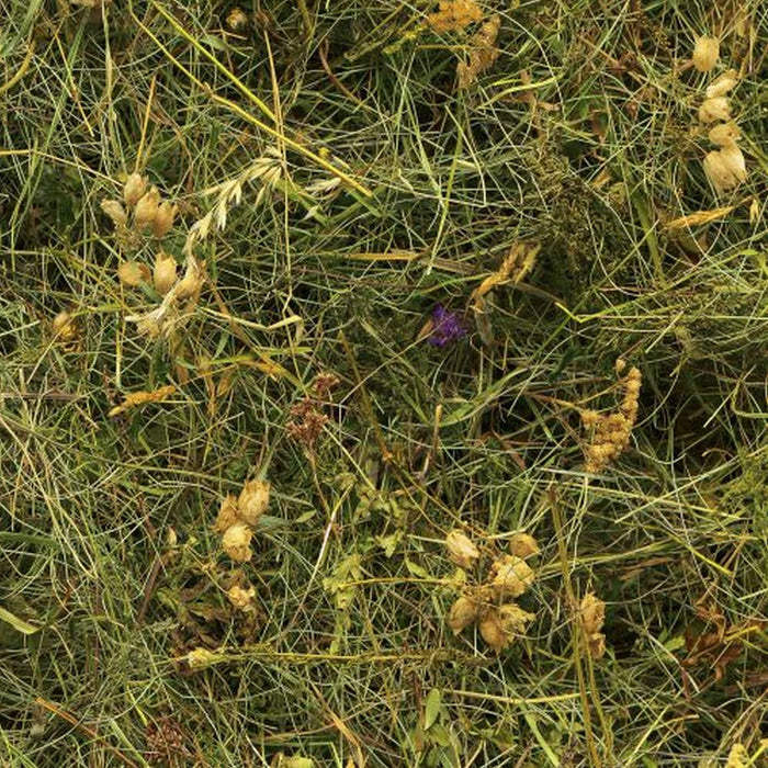 Vlies Fototapete | Bergheu | Größe 150 x 250 cm