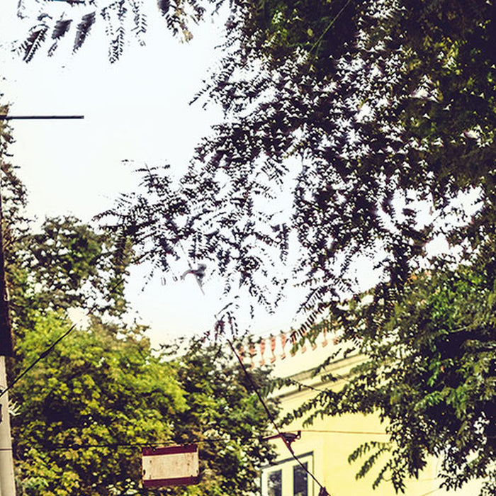 Vlies Fototapete | Lissabon | Größe 100 x 280 cm