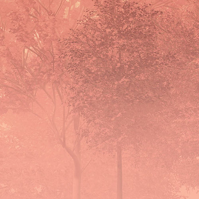 Vlies Fototapete | Heartwood  | Größe 400 x 250 cm