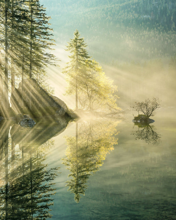 Vlies Fototapete | Indulgence of Beauty | Größe 200 x 250 cm