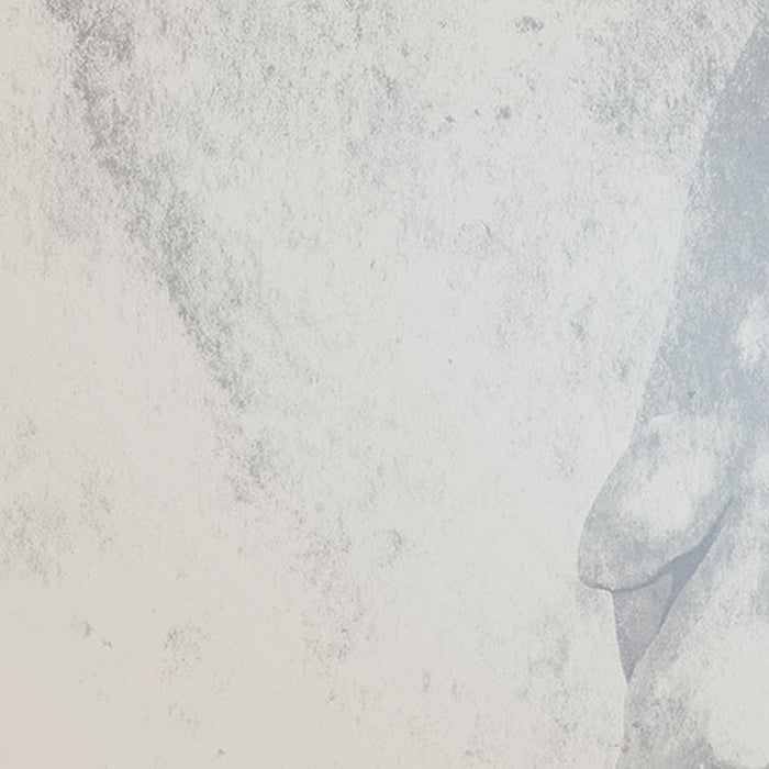 Vlies Fototapete | Eve | Größe 300 x 280 cm