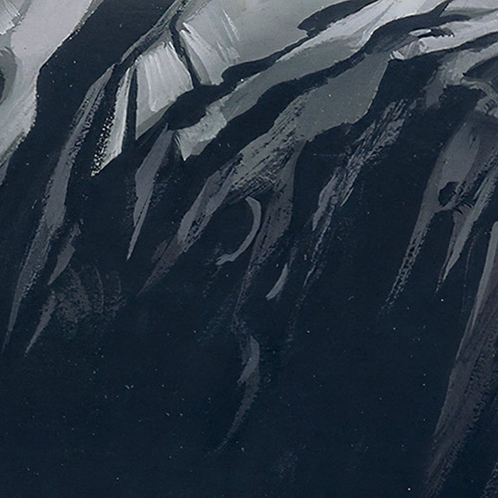 Vlies Fototapete | Star Wars Classic RMQ Asteroid | Größe 500 x 250 cm