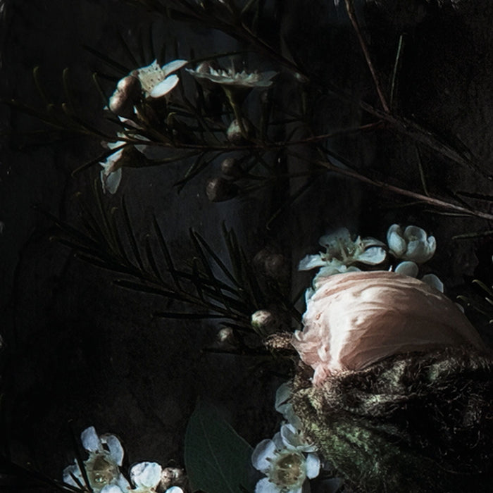 Papier Fototapete | Still Life | Größe 368 x 254 cm