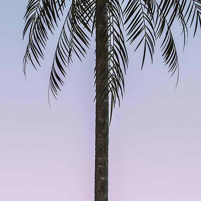 Komar | Vlies Fototapete | Skyhigh Panel | Größe 100 x 250 cm